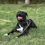 PAKO