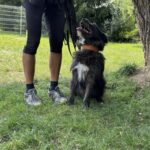PUSZEK