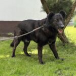 BALU