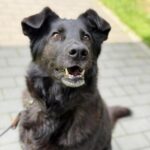 BALU
