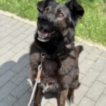 BALU