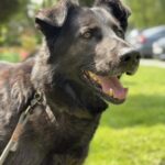 BALU