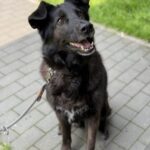 BALU