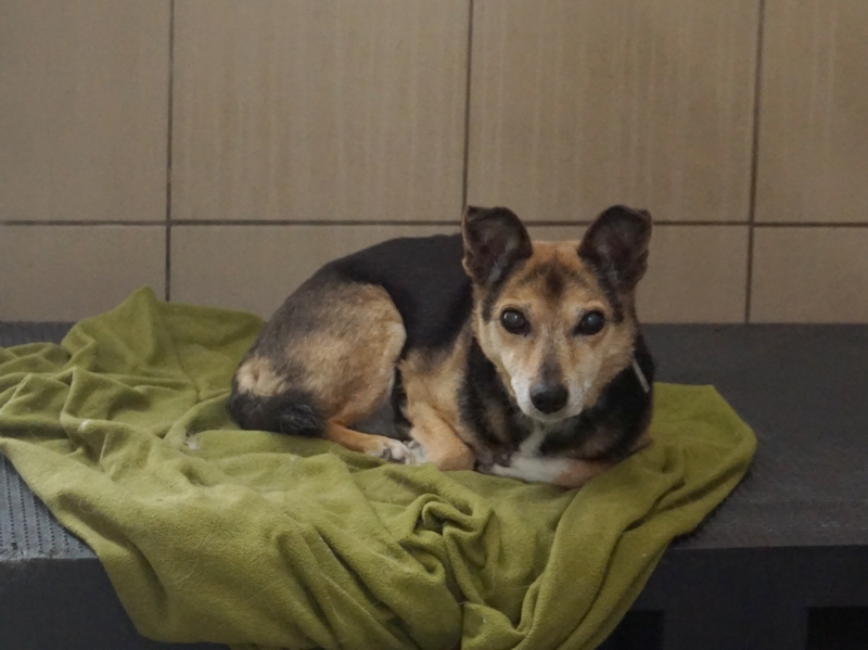 TEKLA