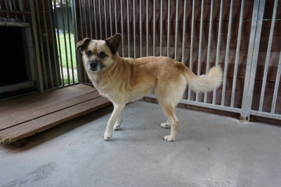 BARNABA