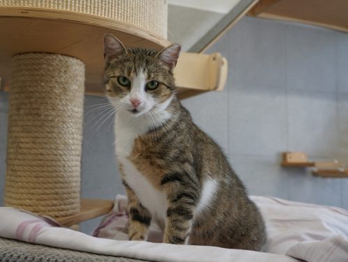 MIAŁGORZATA